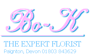 Bo-K 